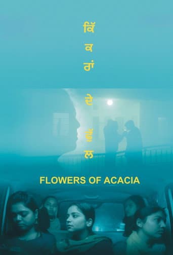 Flowers of Acacia poster