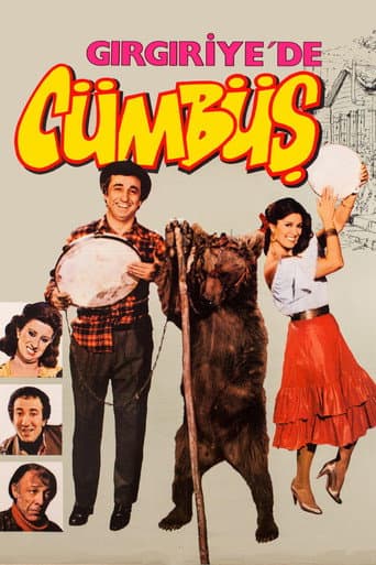Festivity in Gırgıriye poster