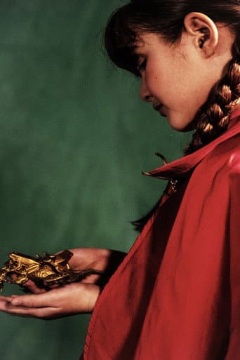 FURO poster