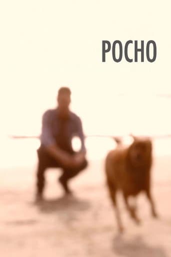 Pocho poster