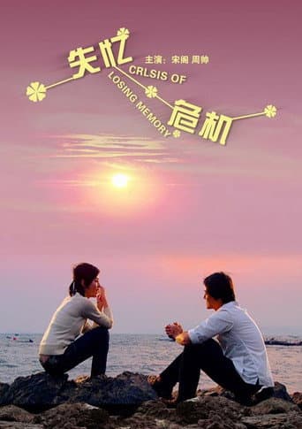 失忆危机 poster