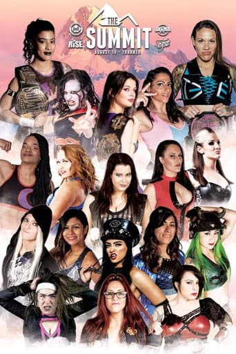 The Summit poster