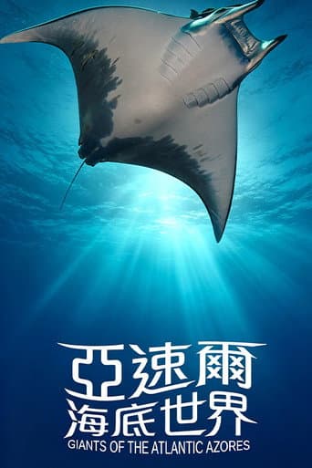 亚速尔海底世界 poster