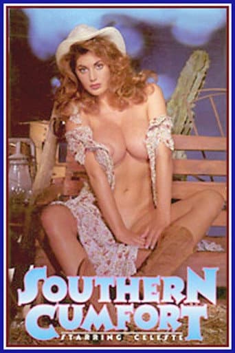 Southern Cumfort poster
