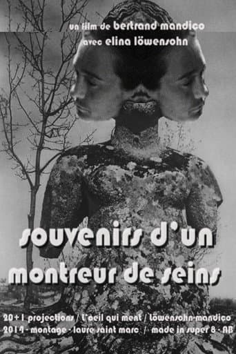 Memories of a Boobs Flasher poster