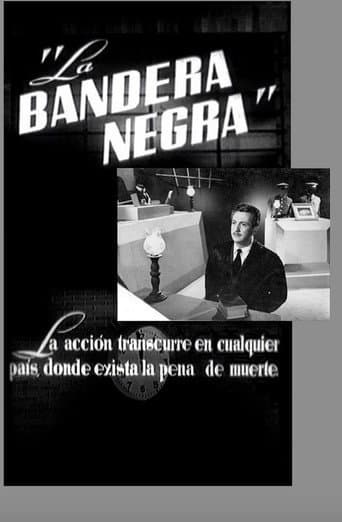 The Black Flag poster