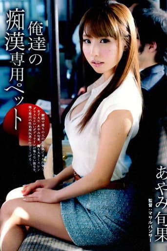 ABP-112 Our Exclusive Molester Pet. Shunka Ayami poster
