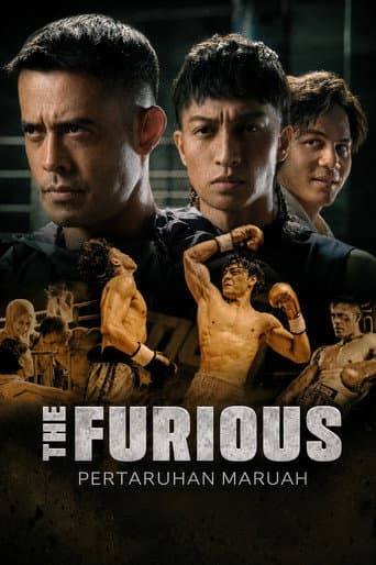 The Furious poster