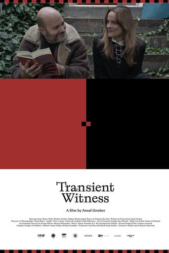 Transient Witness poster