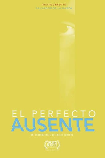 The Perfect Absent poster