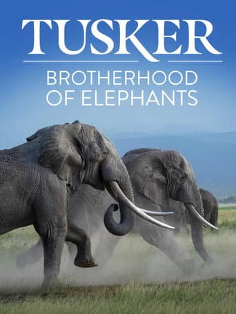 Tusker: Brotherhood of Elephants poster