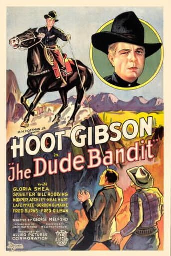 The Dude Bandit poster