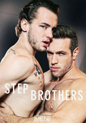 Stepbrothers poster