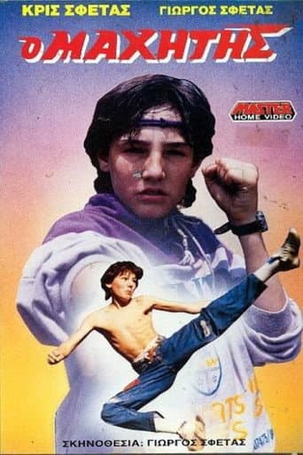 The Fighter poster