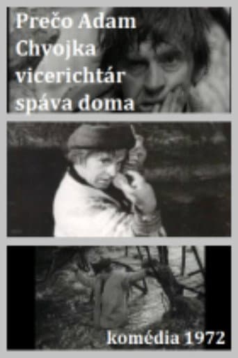 Adam Chvojka vicerichtár poster