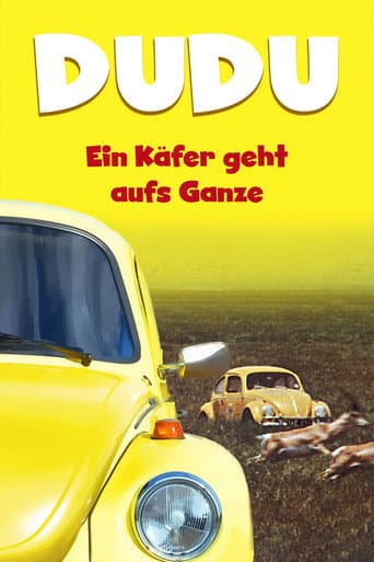 The Love Bug Rally poster