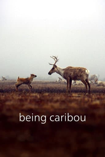 Being Caribou poster