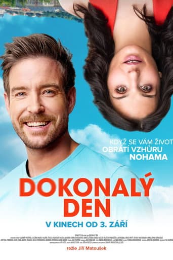 Dokonalý den poster