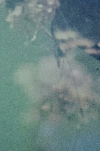 In the Broken Eye of the Butterfly poster