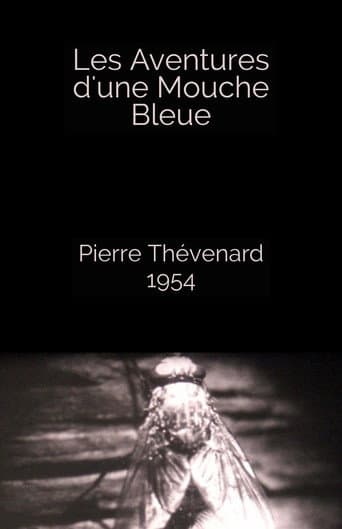 The Adventures of a Blue Fly poster