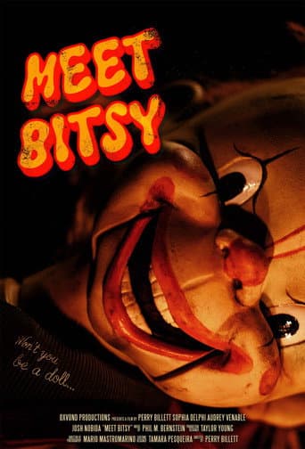 Meet Bitsy poster