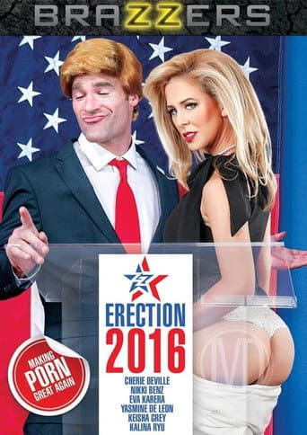 ZZ Erection 2016 poster