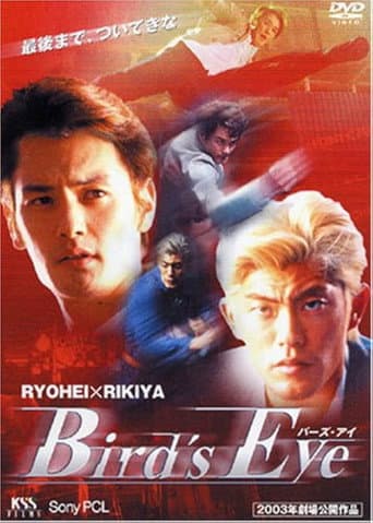 BIRD'S EYE poster
