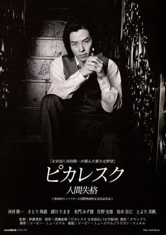 Picaresque poster
