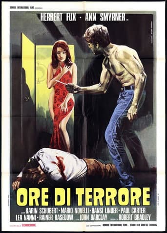 Hours of Terror poster