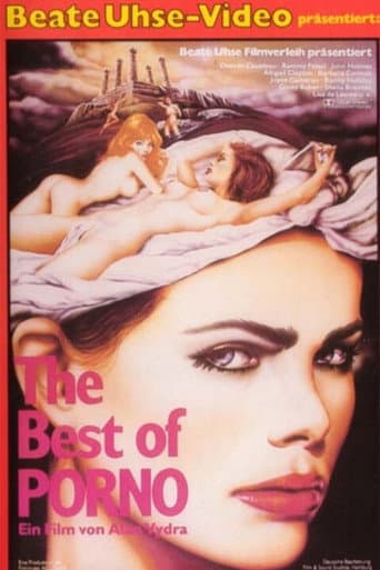 The Best of Porno poster