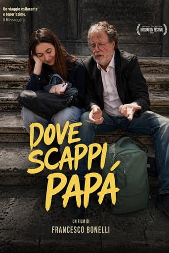 Dove scappi papà? poster