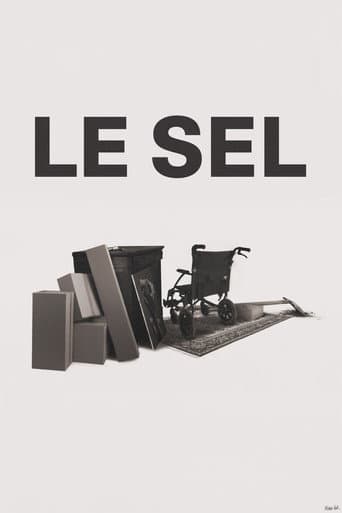 The Salt poster