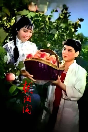 朝阳沟 poster