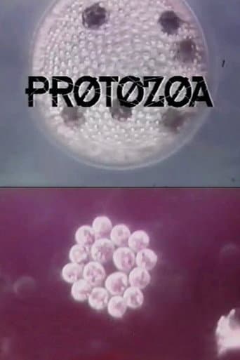 Protozoa poster