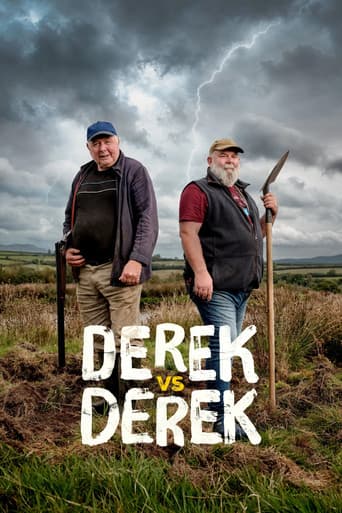 Derek vs Derek poster