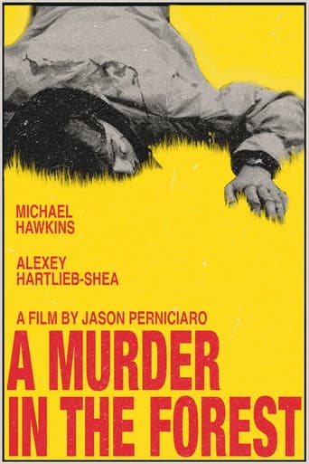 A Murder in the Forest poster