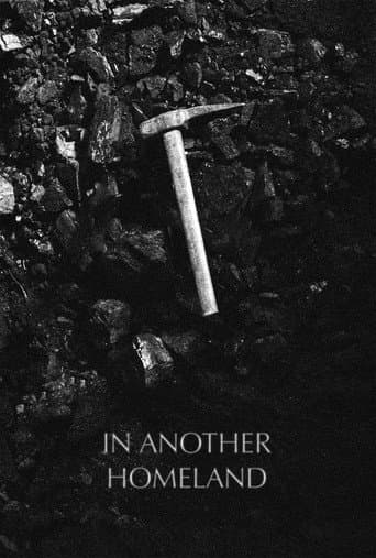 In Another Homeland poster