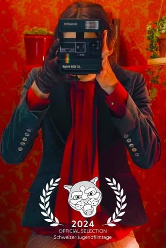 Diary of a Photobooth poster