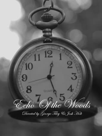 Echo of The Woods poster