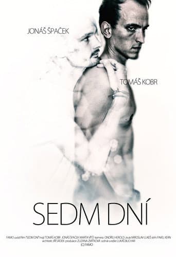 Seven Days poster