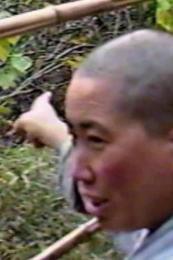 Searching for Hermits in China with Red Pine poster