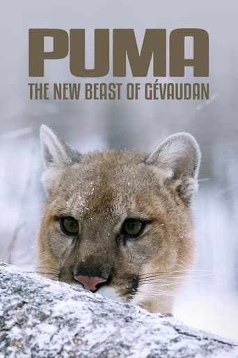 Cougar: On the Trail of the Ghost Cat poster