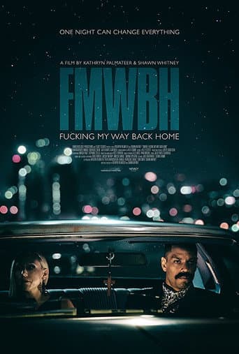 Fucking My Way Back Home poster