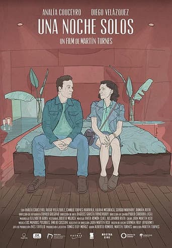 One night alone poster