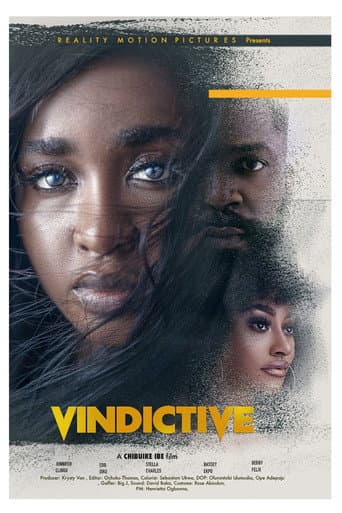 Vindictive poster
