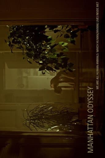 Manhattan Odyssey poster