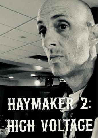 Haymaker 2: High Voltage poster