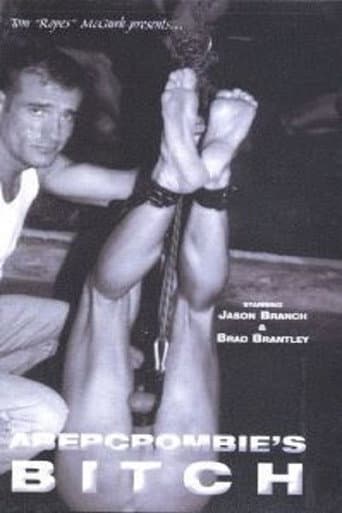 Abercrombie's Bitch poster