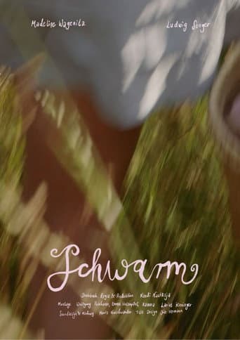 Schwarm poster