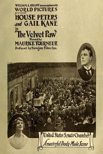 The Velvet Paw poster